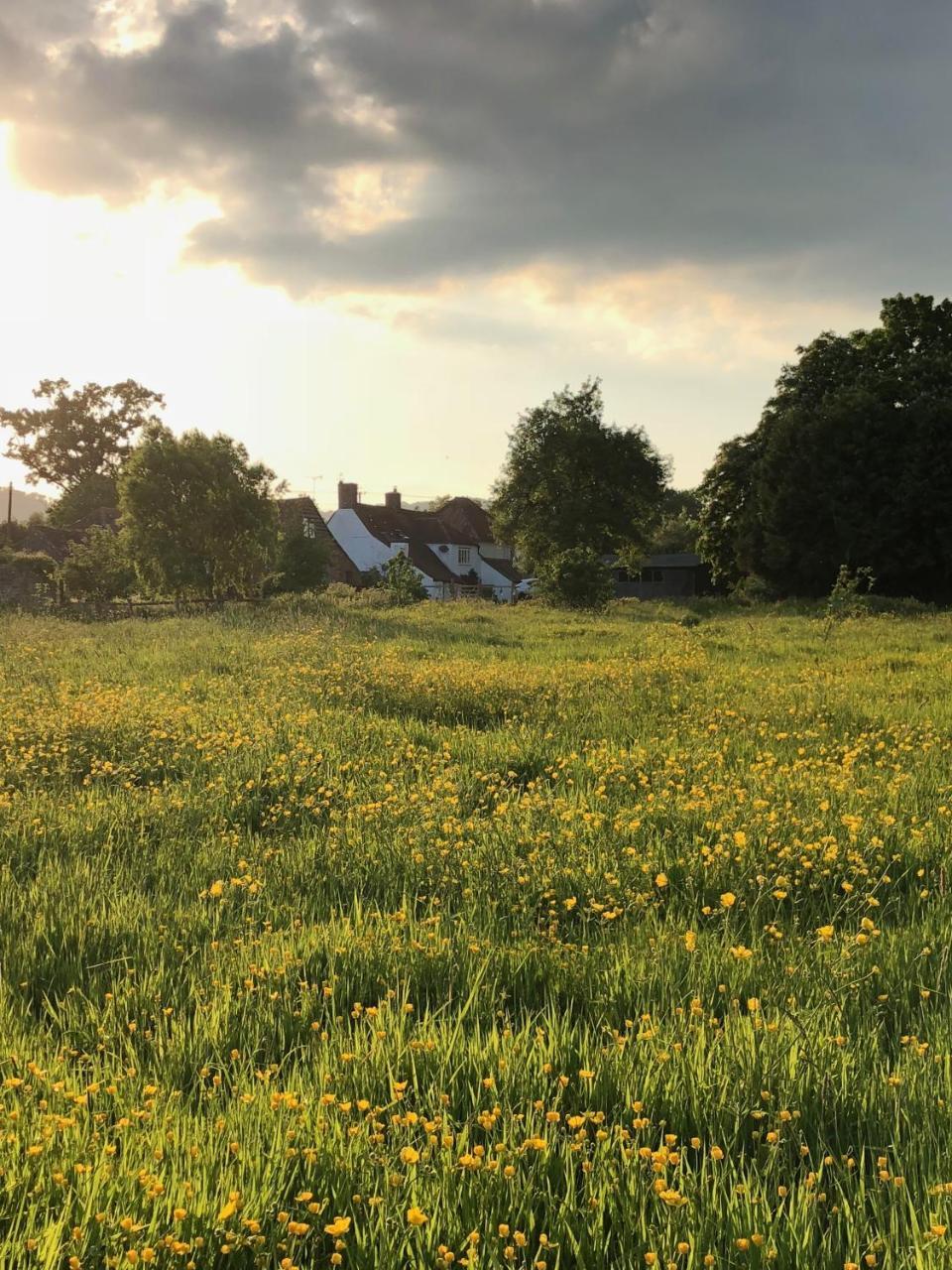 Home Farm Birtsmorton Extérieur photo