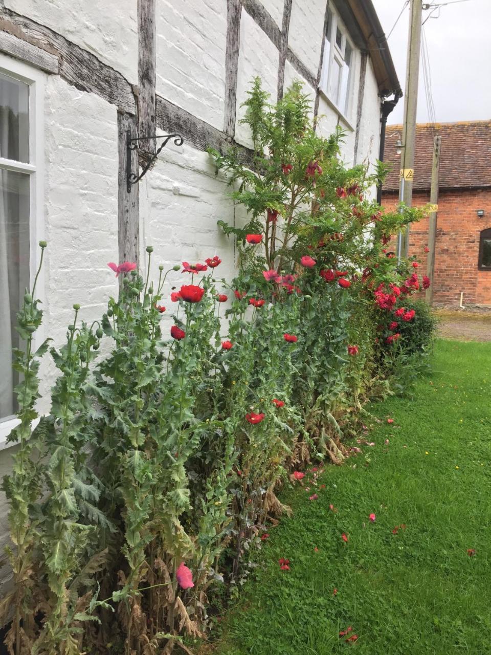 Home Farm Birtsmorton Extérieur photo